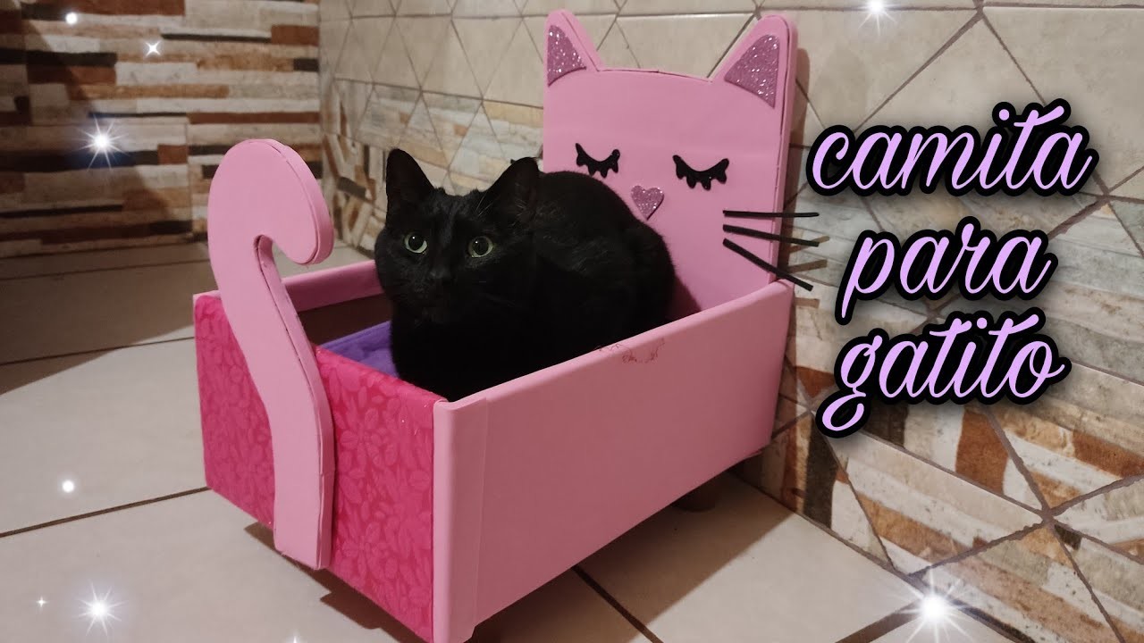 Cama para gatitos con caja de cartón