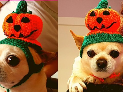 GORRO DE CROCHET MASCOTA--DISFRAZ  ???? ????-CALABAZA-chihuahua,Gato????