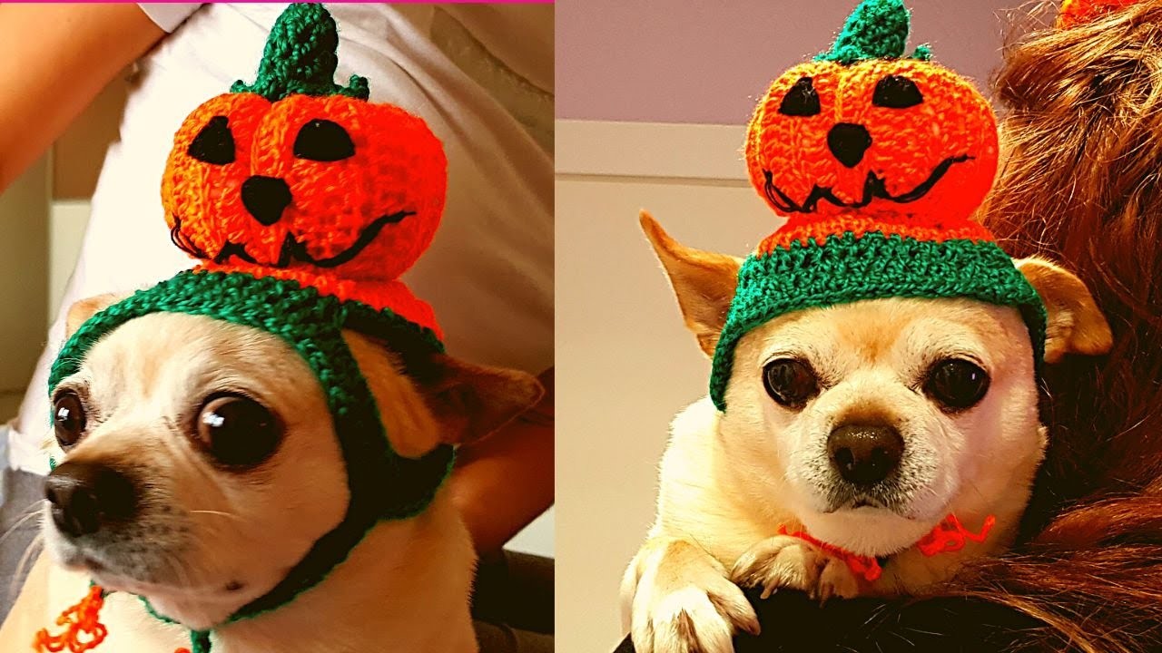 GORRO DE CROCHET MASCOTA--DISFRAZ  ???? ????-CALABAZA-chihuahua,Gato????