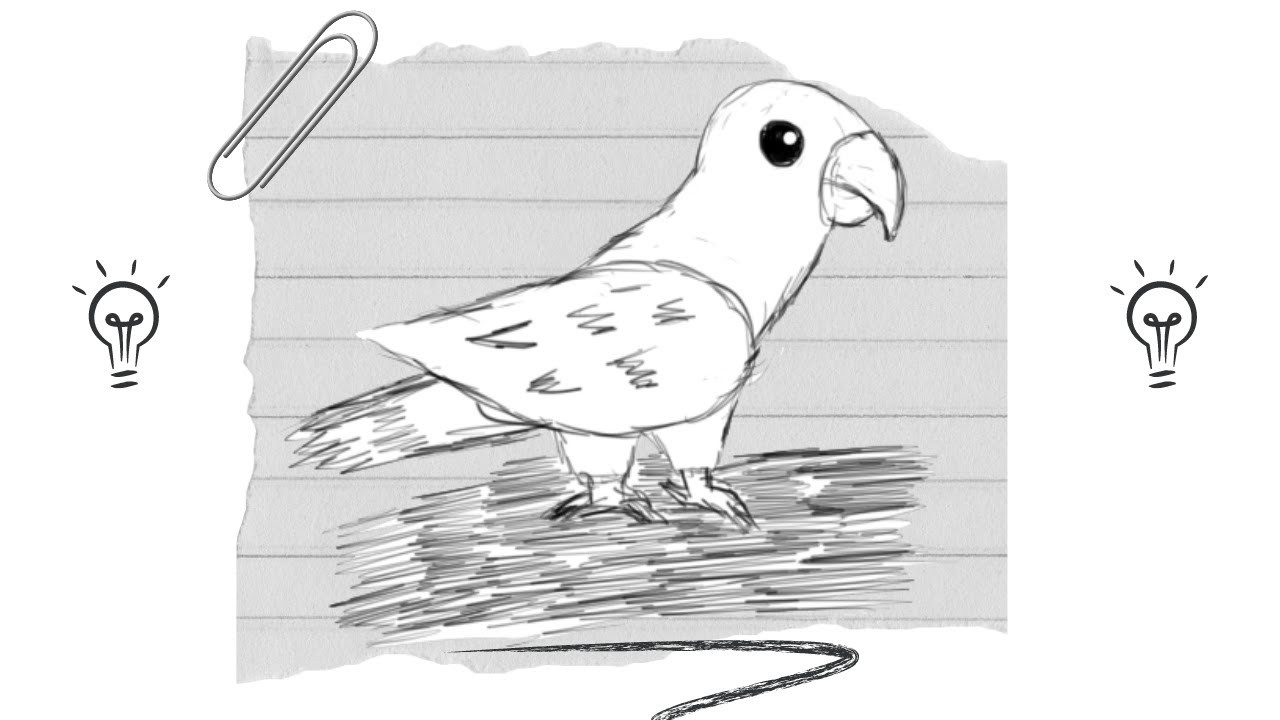 ???? Como DIBUJAR un LORO PASO A PASO para NIÑOS  | DIBUJOS FACILES