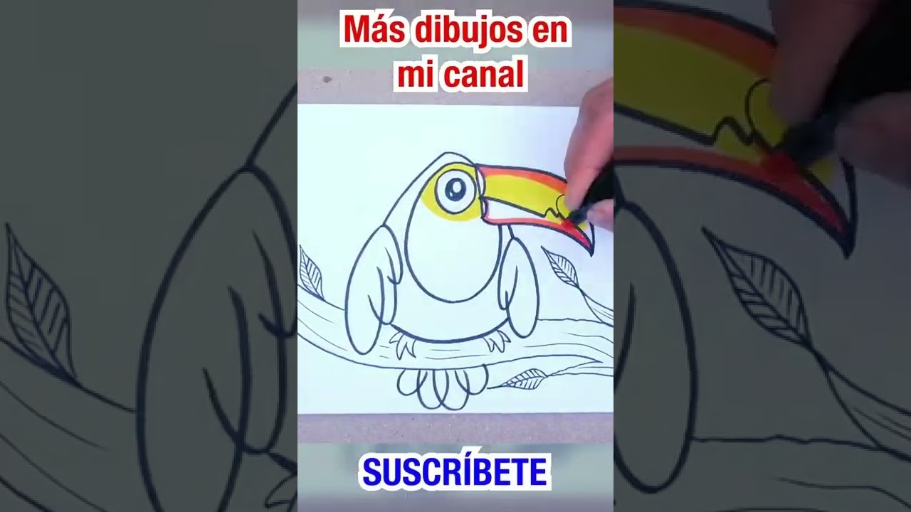 Cómo dibujar un TUCÁN paso a paso y fácil ???????????? Dibujos fáciles #shorts