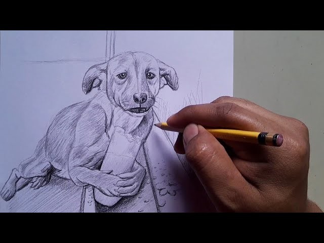 Dibujando al perrito callejero a lápiz
