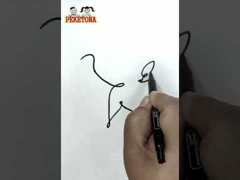 Gato de la Calle
