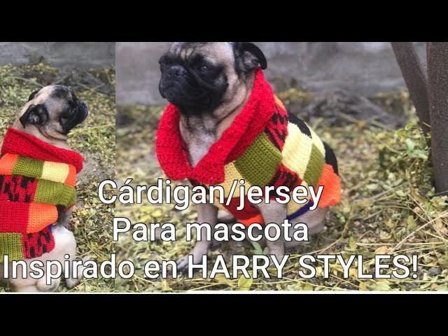 CÁRDIGAN DE HARRY STYLES TEJIDO A CROCHET Para mascota, mira El Paso a paso !