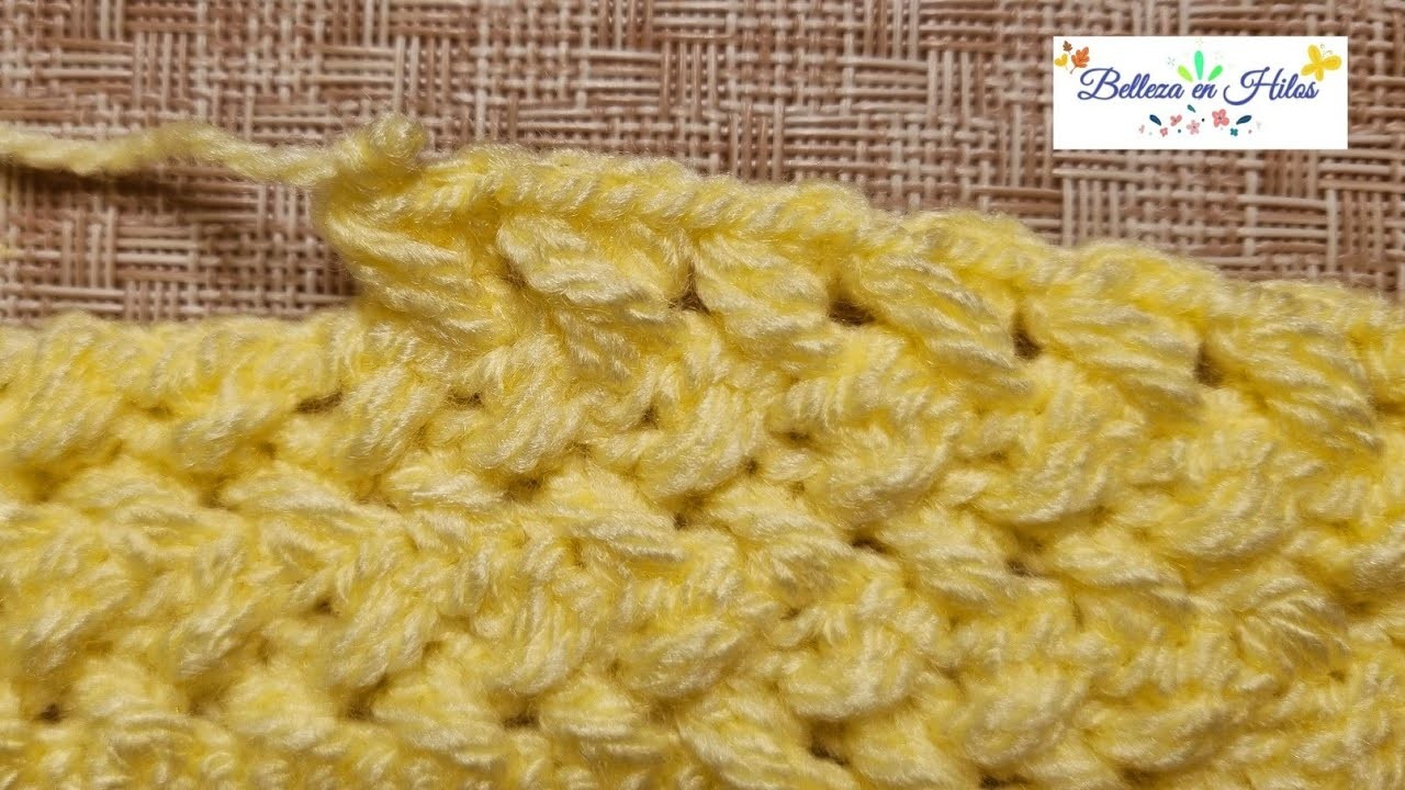 Aprende Nueva Puntada de Crochet!