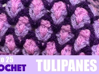 Crochet Punto Tulipanes enrejados, ganchillo para mantas.