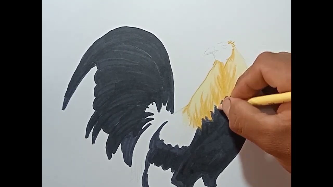 Cómo dibujar un gallo realista con lápices de colores