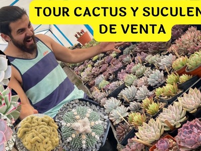 TOUR por el vivero Suculentas y Cactus venta Noviembre. Vivero suculento
