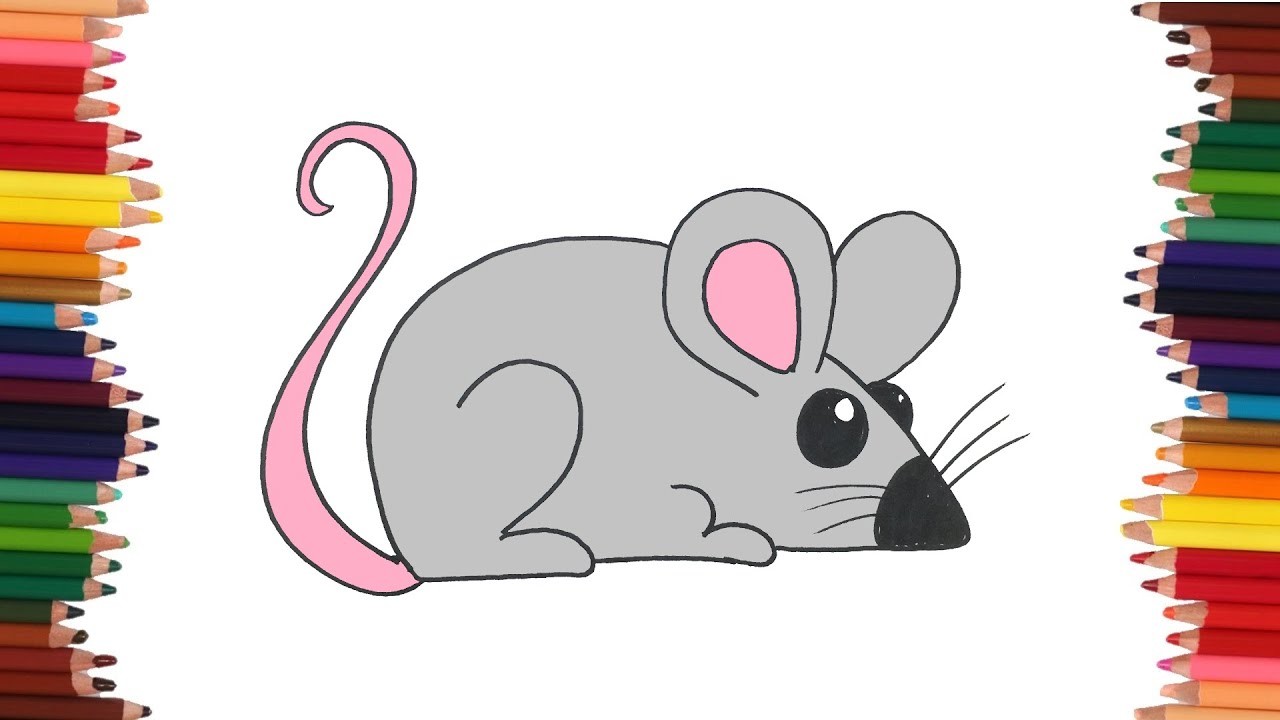 Como dibujar un Raton | Cómo dibujar Animales para niños