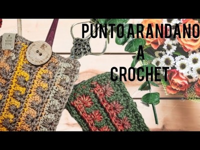 Punto fantasía a #crochet Cómo hacer una  funda para agujas de ganchillo o gafas N 2 ????Punto Arándano