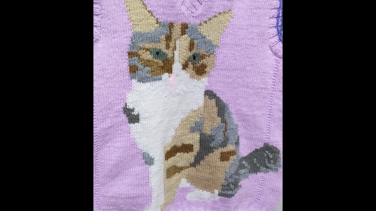 Tejiendo dibujo de GATITA  parte 5