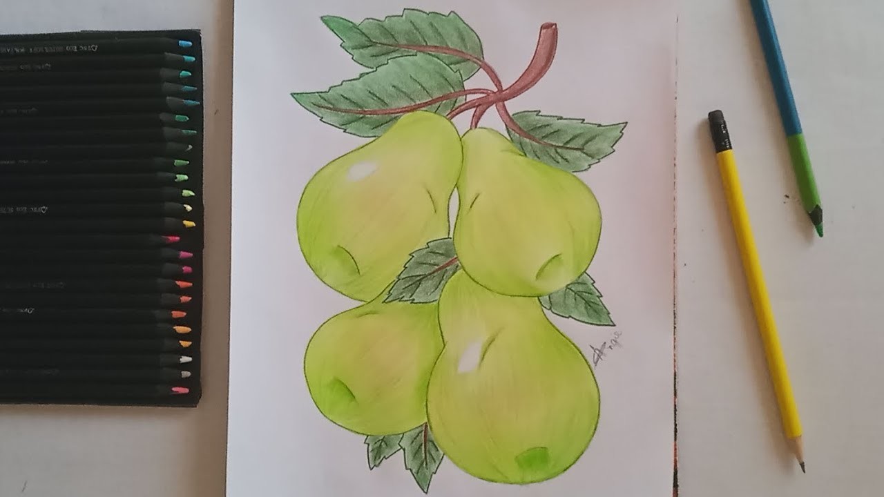 Cómo dibujar peras. How to draw a pears