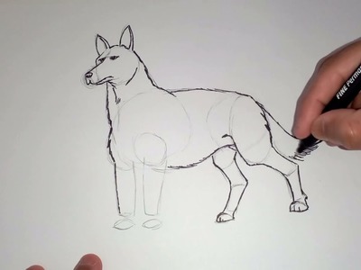 Como Dibujar un Perro