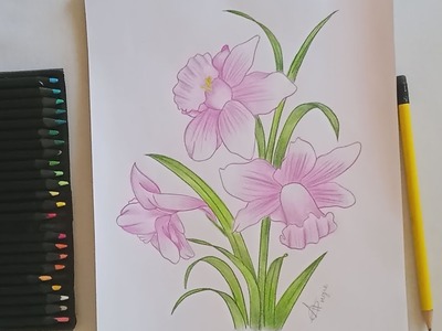 Cómo dibujar flores campanas. How to draw a bell flowers