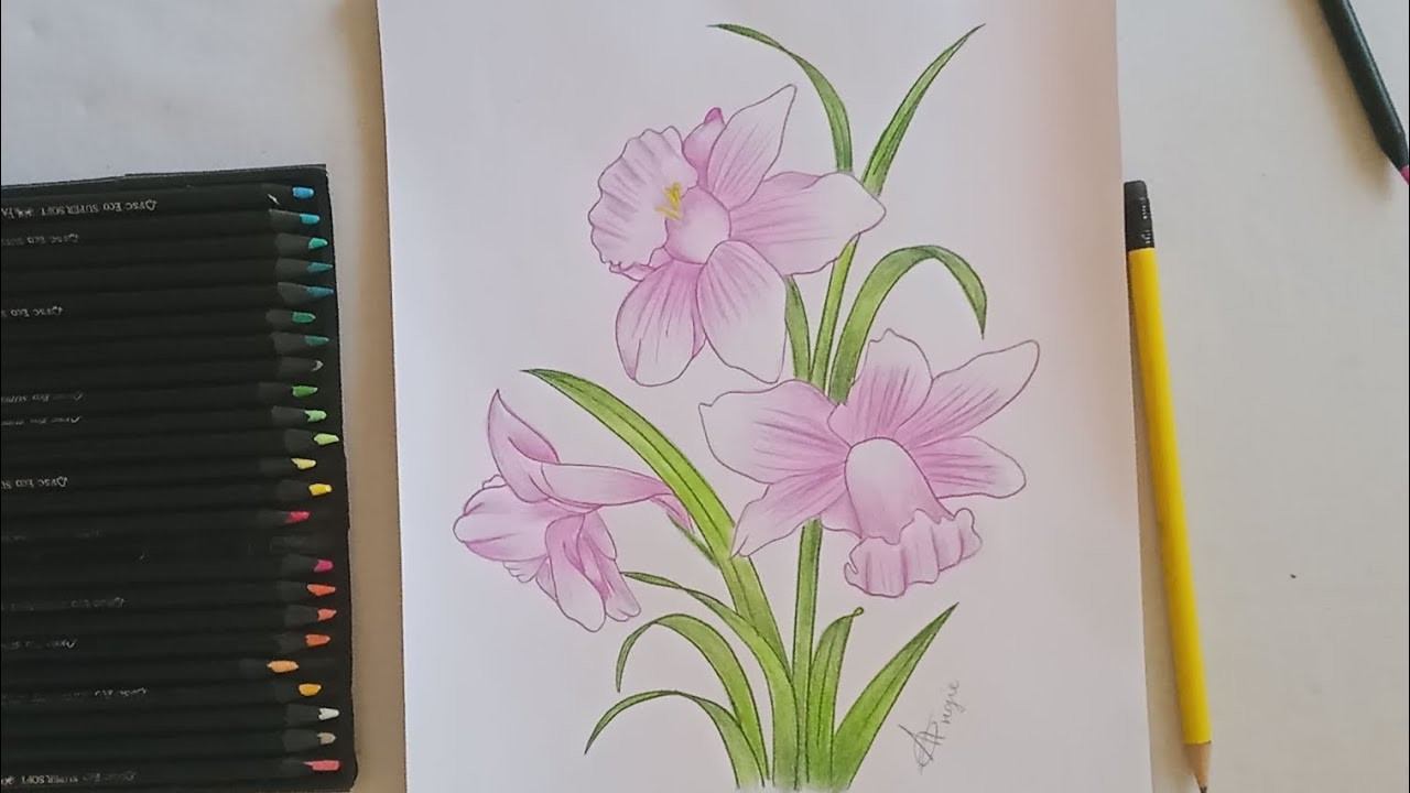 Cómo dibujar flores campanas. How to draw a bell flowers