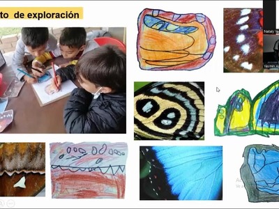 La mariposa, un mundo de color PROYECTO GRADO PRIMERO
