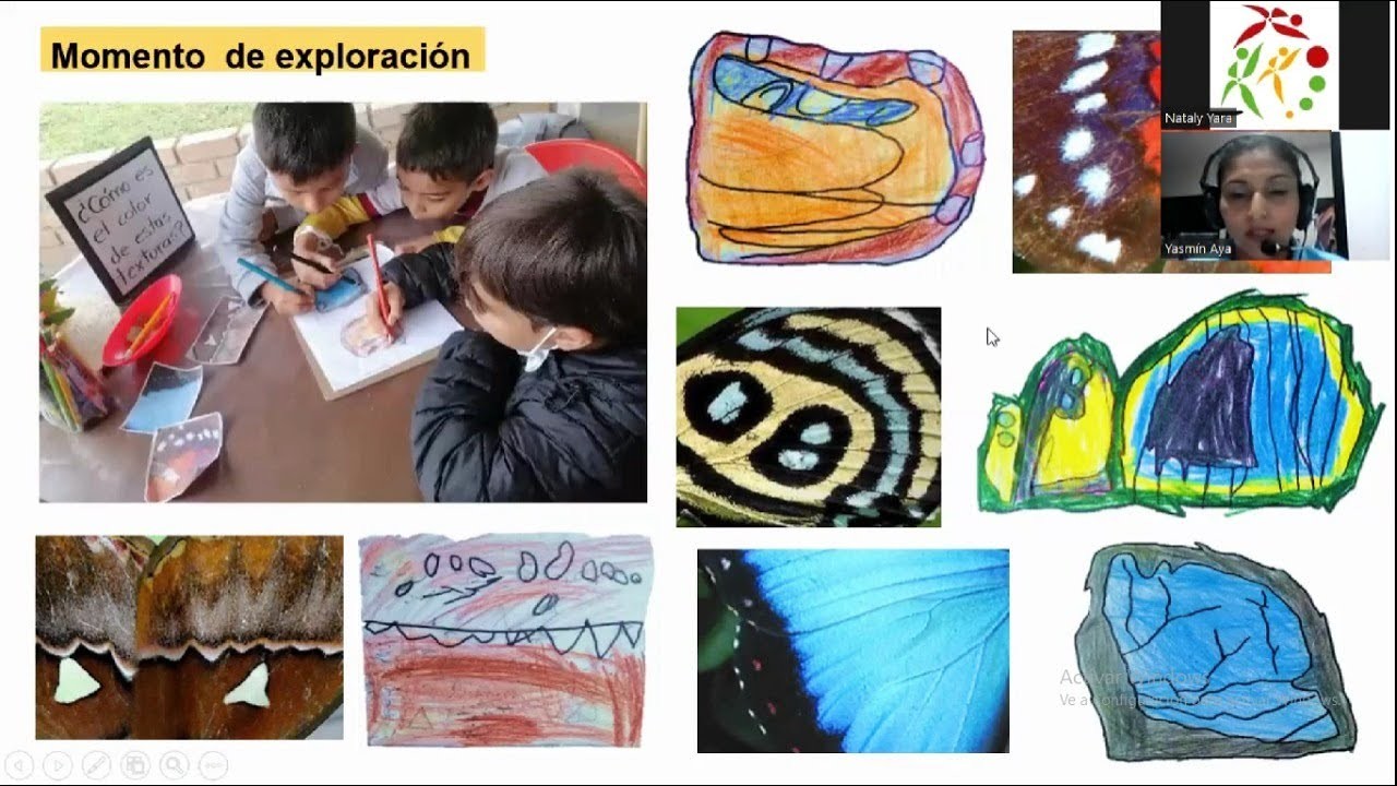 La mariposa, un mundo de color PROYECTO GRADO PRIMERO