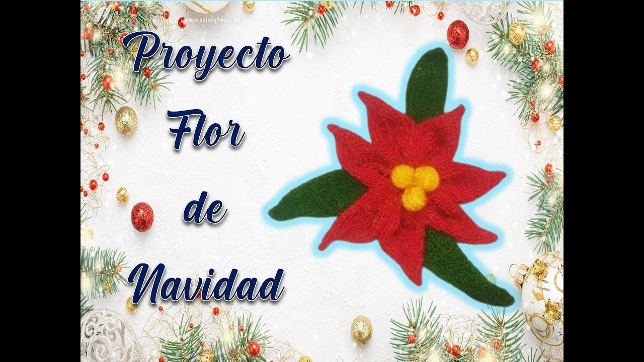 Proyecto Flor de Navidad