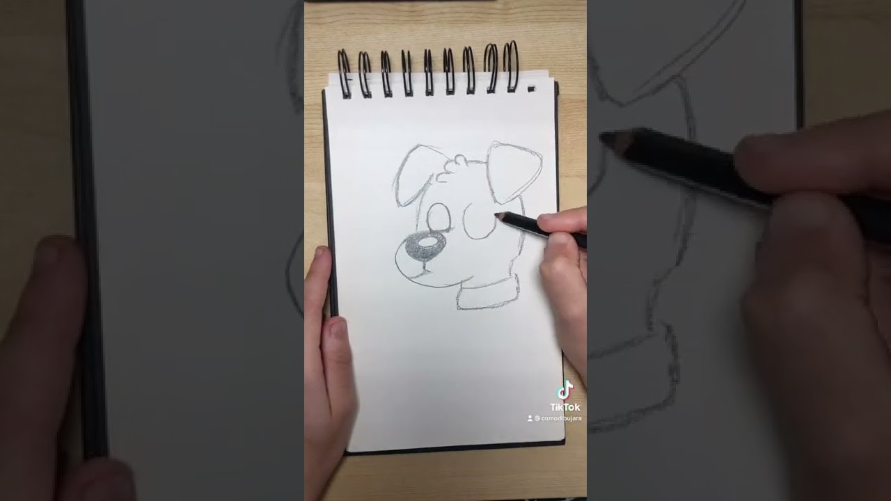 Cómo dibujar un perro (how to draw a dog)  #dibujaconmigo #dibujoperro #aprendeencasa #drawing