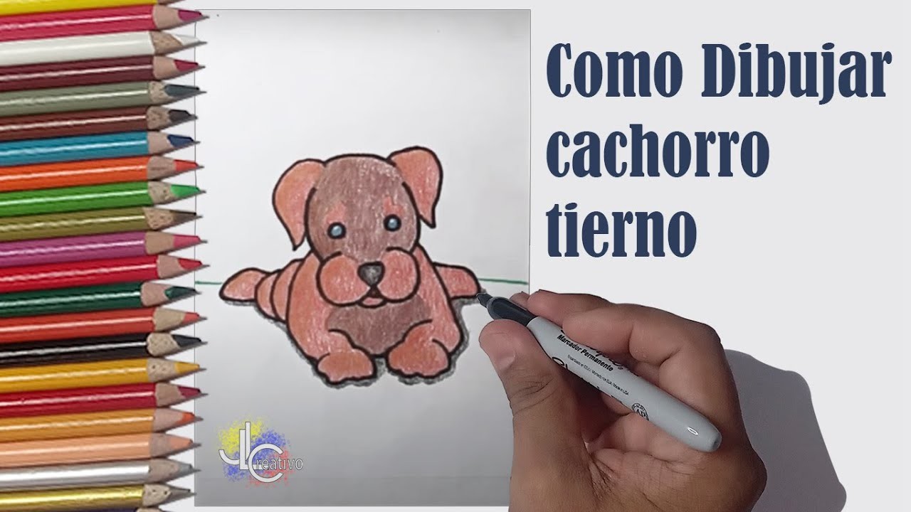 ¡Cachorro tierno! Como dibujar un perro, dibujo fácil y sencillo (algo que hacer)