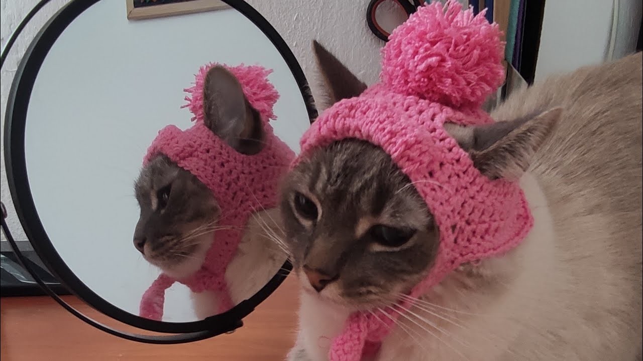 Gorro para gato. Fácil y rápido