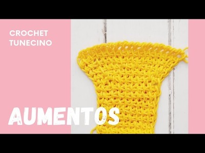 Aumentos en Crochet Tunecino - Curso Básico de Crochet Tunecino @MelGarciaTello