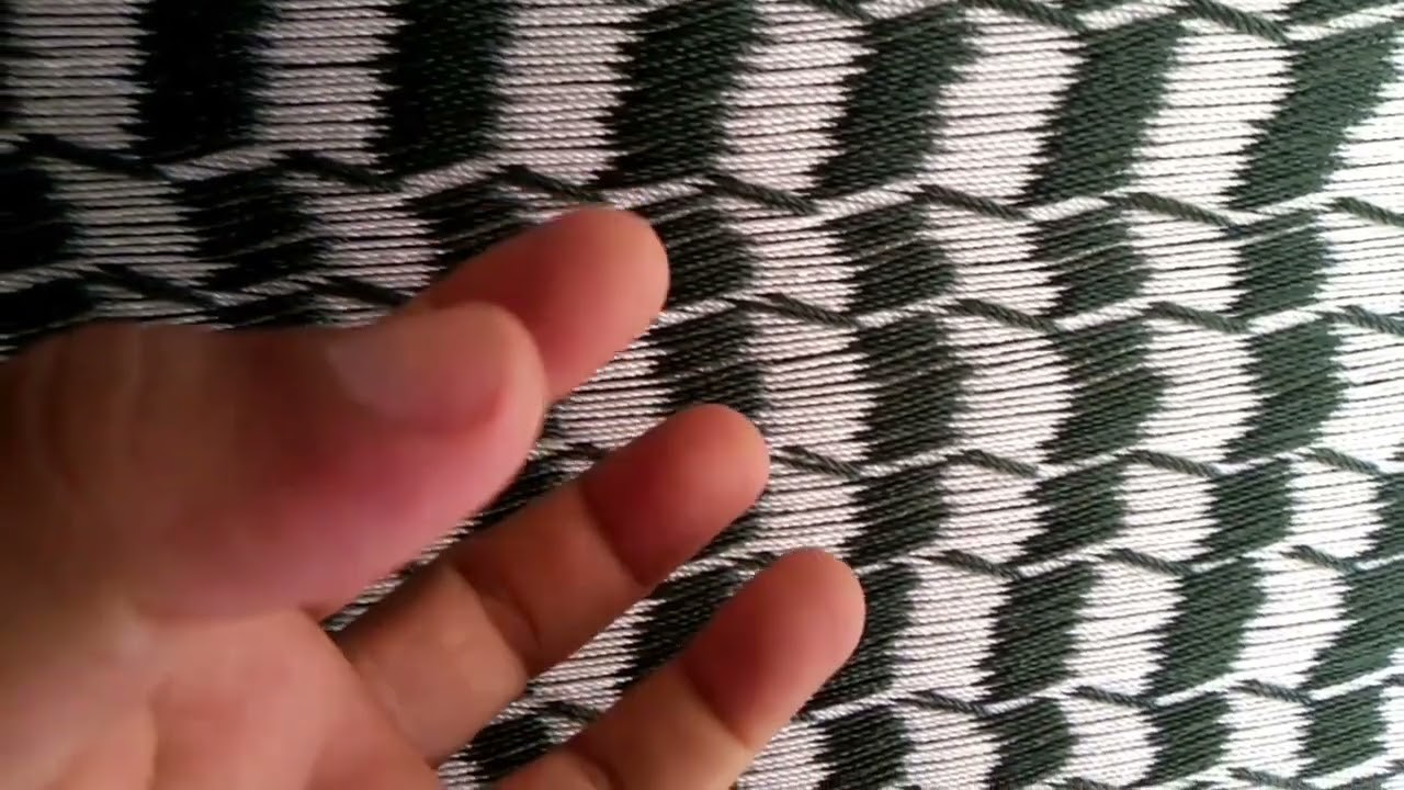 Explicando el bosque de bambu en la hamaca