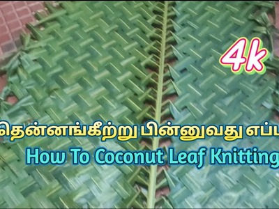 How To Coconut Leaf Knitting | Coconut Leaf Knitting | தென்னங்கீற்று பின்னுவது எப்படி