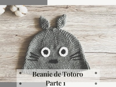 Beanie de Totoro - Parte 1 (Para adulto)