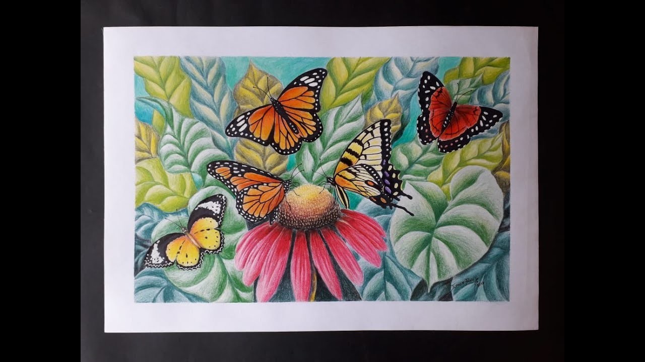 Dibujo artístico de mariposas monarcas con lapices de colores